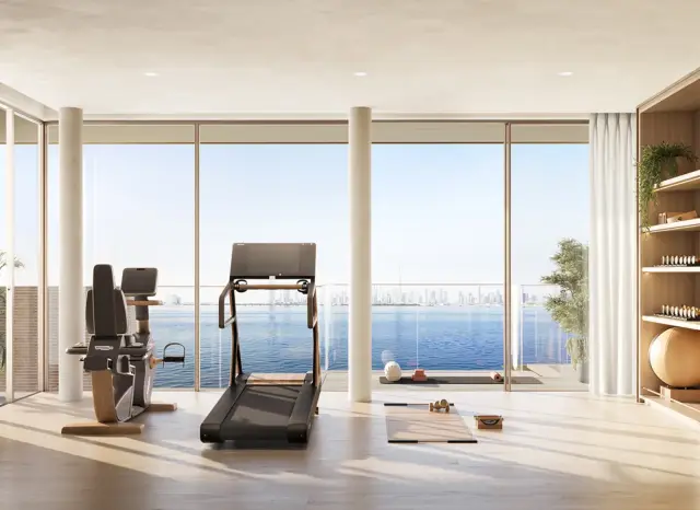 Solaya penthouse private gym